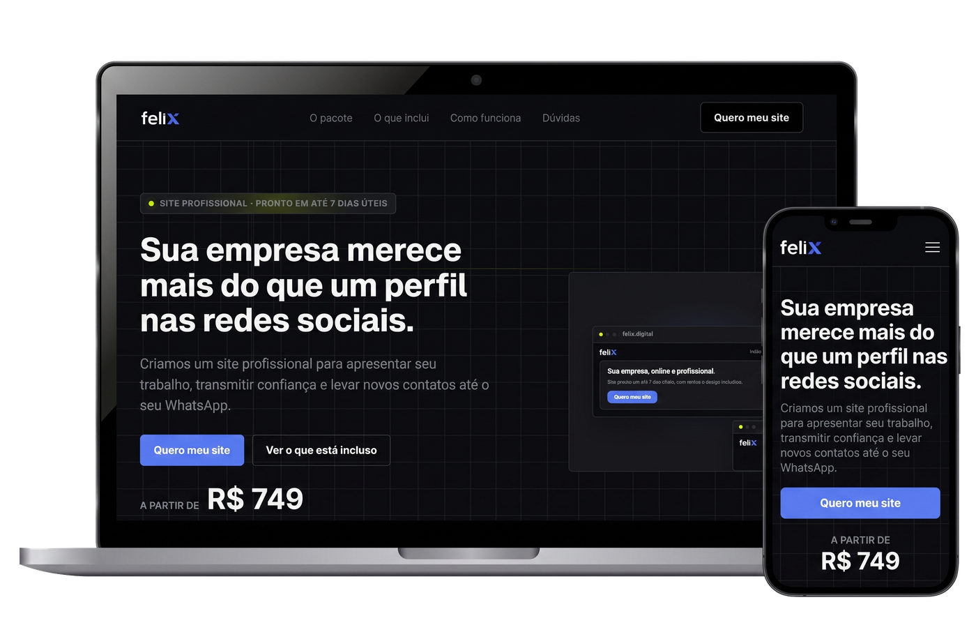 Prévia do site FELIX
